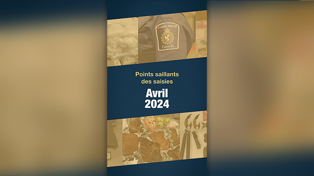 Points saillants des saisies pour le mois d'avril