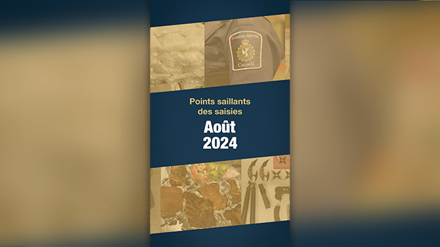 Points saillants des saisies pour le mois d'août