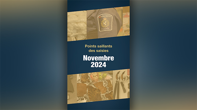 Points saillants des saisies pour le mois de novembre